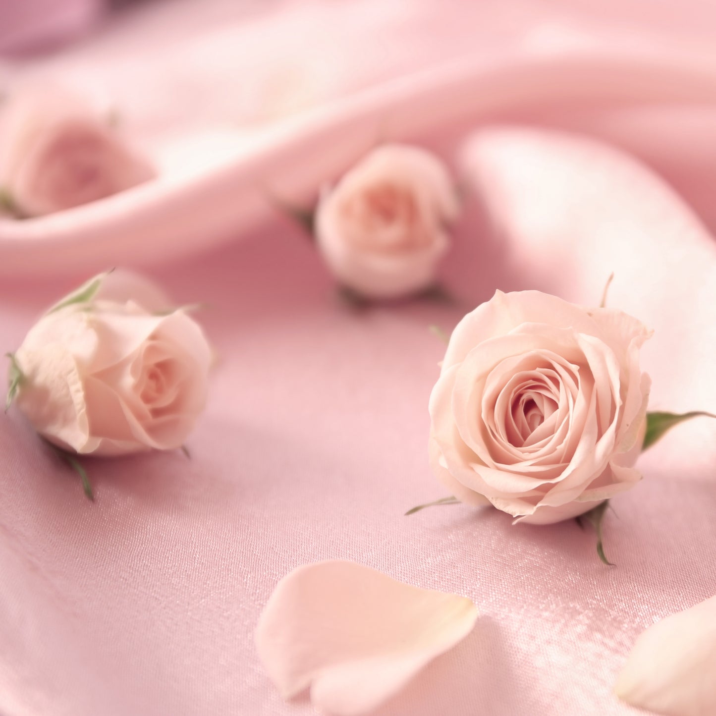 Le fondant AHONE 'Cachemire et soie' est idéal pour parfumer intensément votre intérieur.
Profitez d'un moment chaleureux et apaisant grâce aux délicates notes florales et poudrées du cachemire et de la soie. Ambiance cocooning assurée !