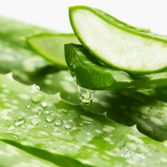 AHONE - Fondant parfumé 'Aloe Vera'