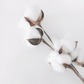 Le fondant AHONE 'Fleur de coton' est idéal pour parfumer intensément votre intérieur.   Toute la douceur du coton dévoilée par une fragrance pleine de tendresse pour une ambiance cocooning!